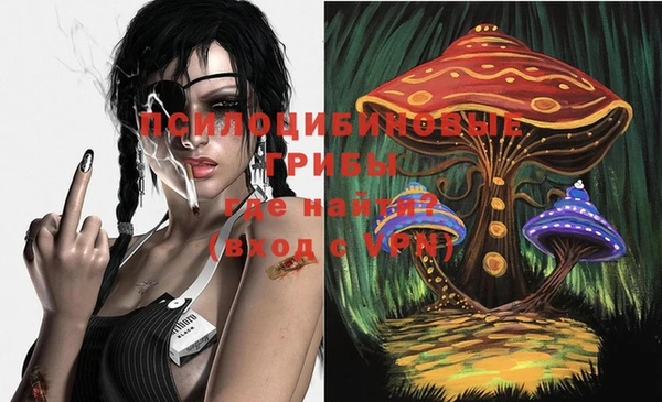 марихуана Абаза